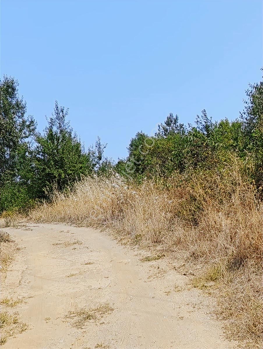 Abana Bağlik Mahallesi Satilik 1.700.m2 Villa Konut İmarli Arsa - Görsel 21