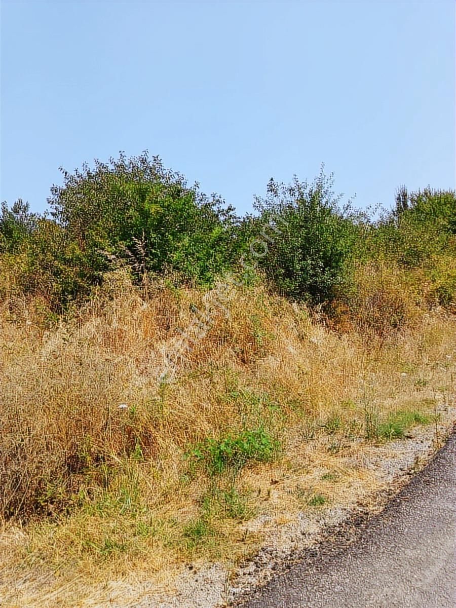 Abana Bağlik Mahallesi Satilik 1.700.m2 Villa Konut İmarli Arsa - Görsel 17