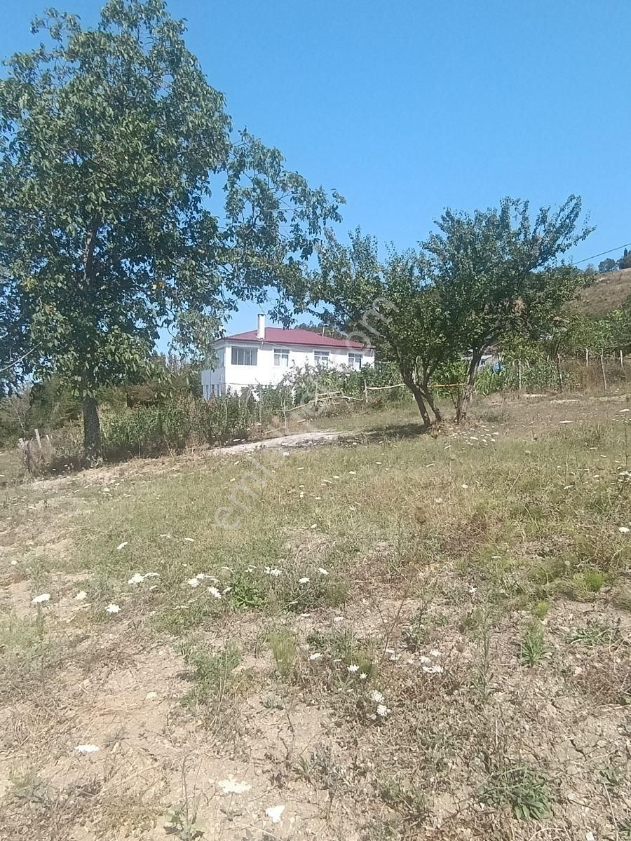 İnebolu Konut Villa İmarli ( 929,78.m2) Satılik Arsa . - Görsel 14