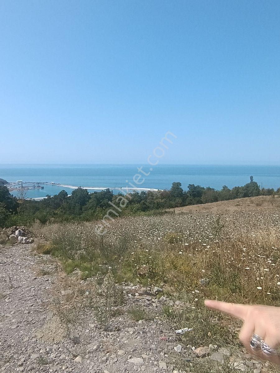 İnebolu Konut Villa İmarli ( 929,78.m2) Satılik Arsa . - Görsel 6