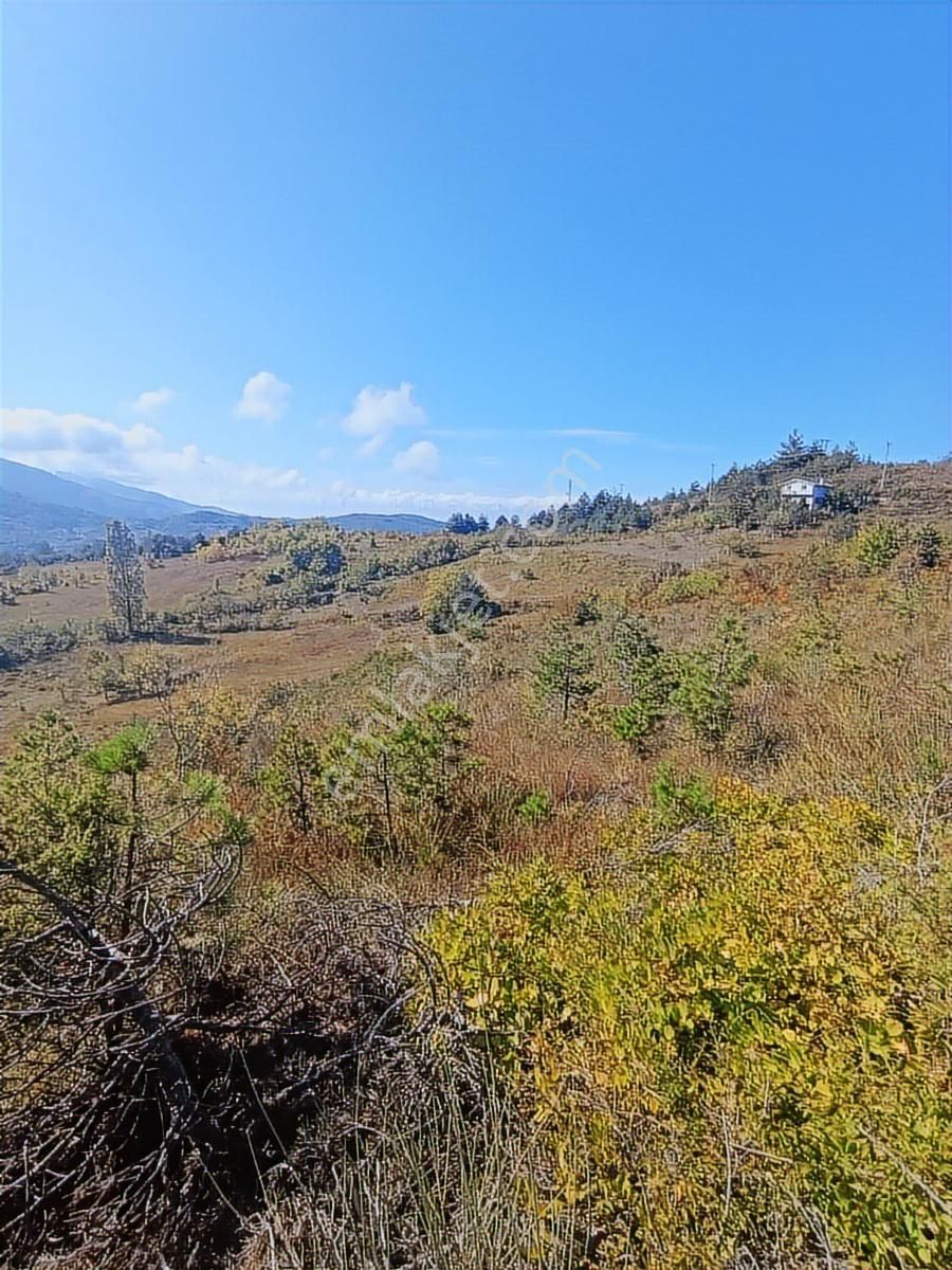 Abana Göynükler .11.467.m2.satilik Tarla - Görsel 12