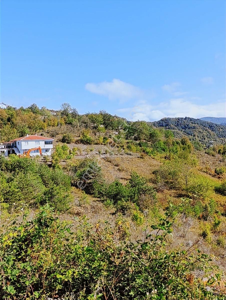 Abana Göynükler .11.467.m2.satilik Tarla