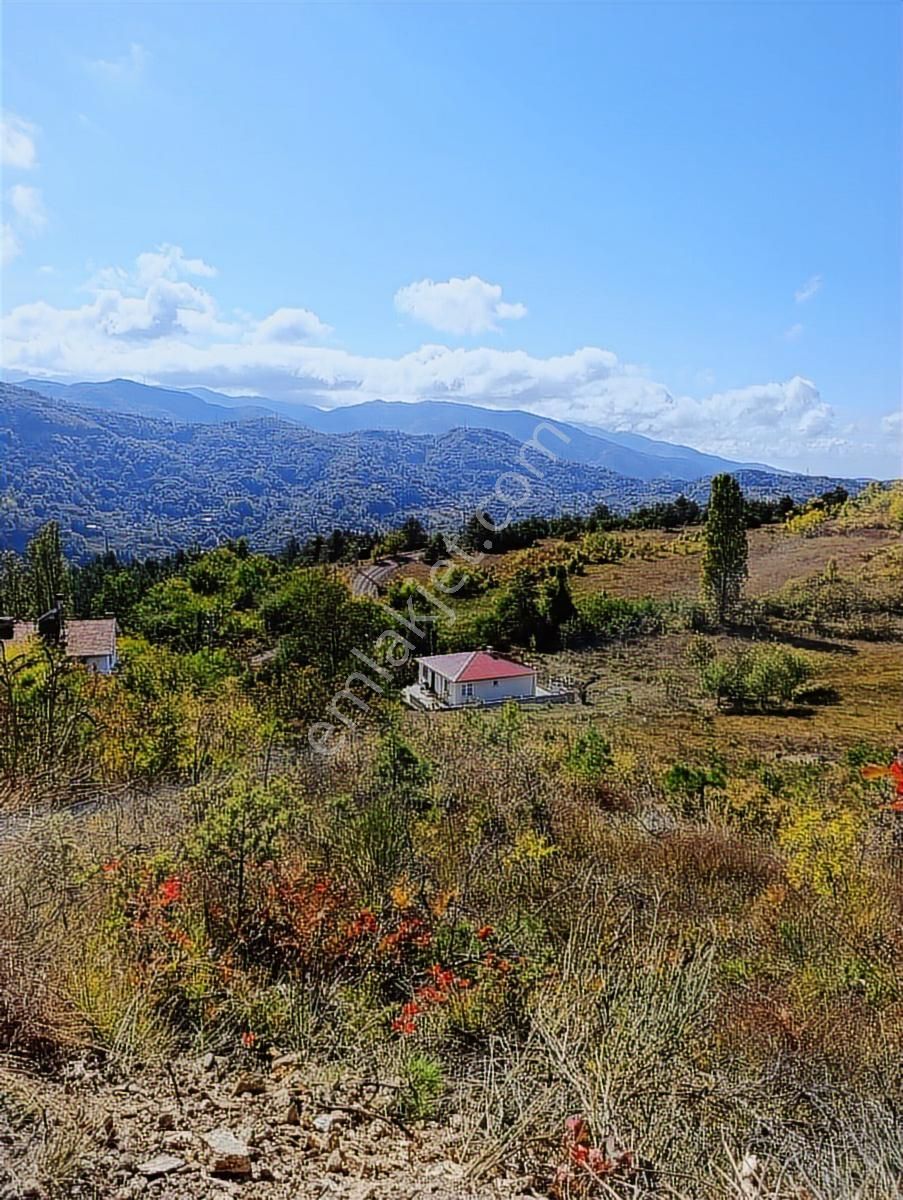 Abana Göynükler .11.467.m2.satilik Tarla - Görsel 19