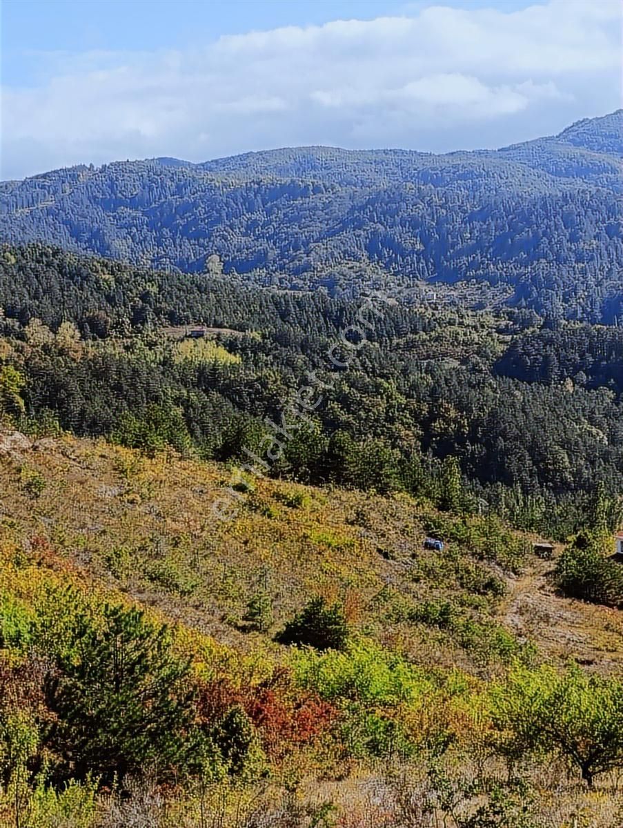 Abana Göynükler .11.467.m2.satilik Tarla - Görsel 2