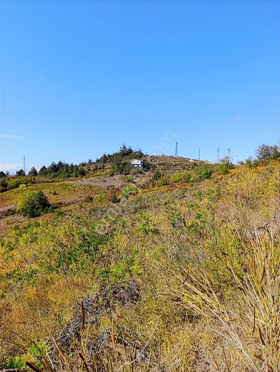 Abana Göynükler .11.467.m2.satilik Tarla - Görsel 11