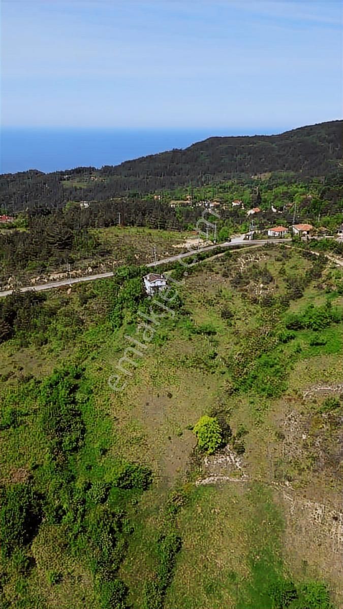 Abana Göynükler .11.467.m2.satilik Tarla - Görsel 14