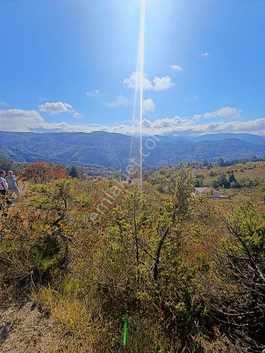 Abana Göynükler .11.467.m2.satilik Tarla - Görsel 4