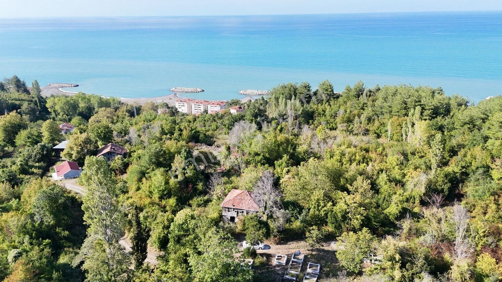 Abana Zeybek Emlak Gayrimenkul Satılık Konut İmarlı 2.761.m2arsa - Görsel 11