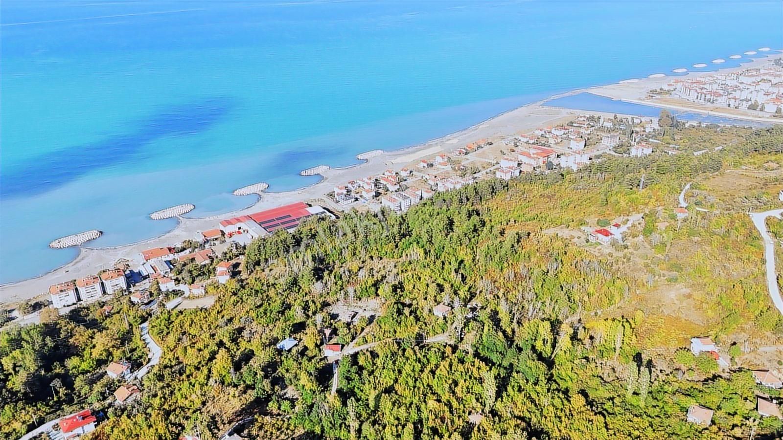 Abana Zeybek Emlak Gayrimenkul Satılık Konut İmarlı 2.761.m2arsa