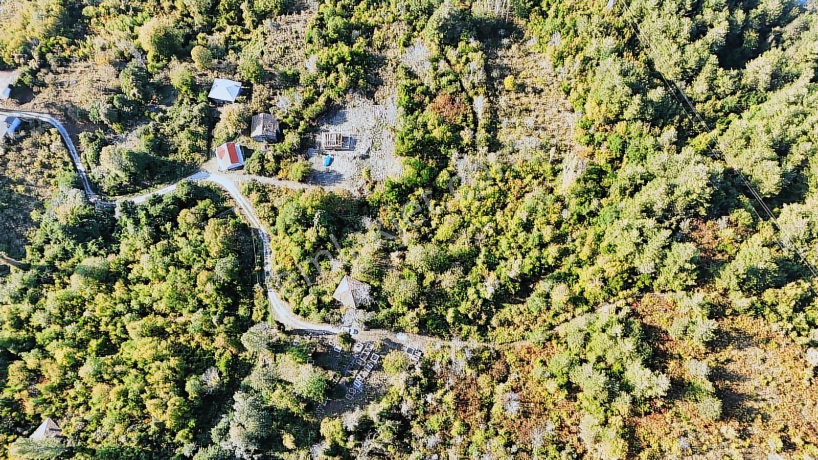 Zeybek Emlak.abana Villa+ Konut İmarlı 2.761.m2 Arsa - Görsel 31