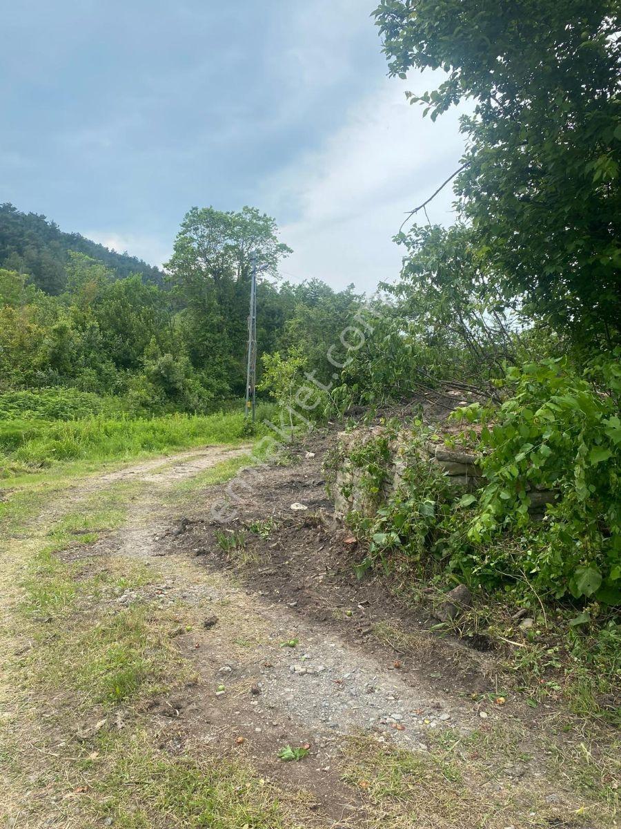 Zeybek Emlak.abana Villa+ Konut İmarlı 2.761.m2 Arsa - Görsel 19