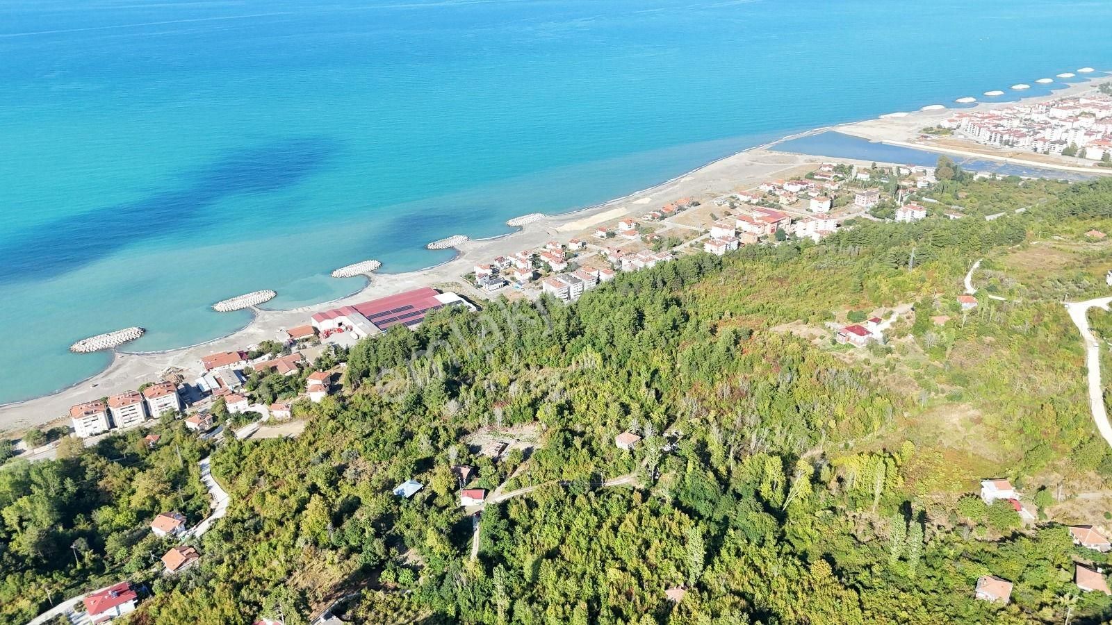 Abana Zeybek Emlak Gayrimenkul Satılık Konut İmarlı 2.761.m2arsa - Görsel 2