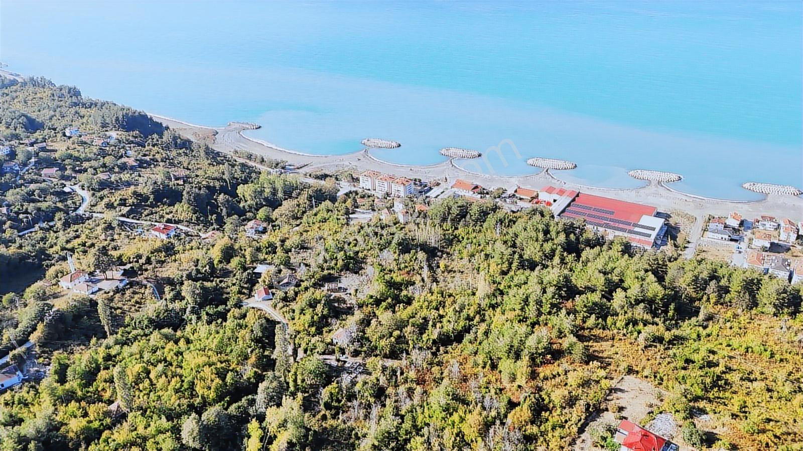 Zeybek Emlak.abana Villa+ Konut İmarlı 2.761.m2 Arsa - Görsel 28