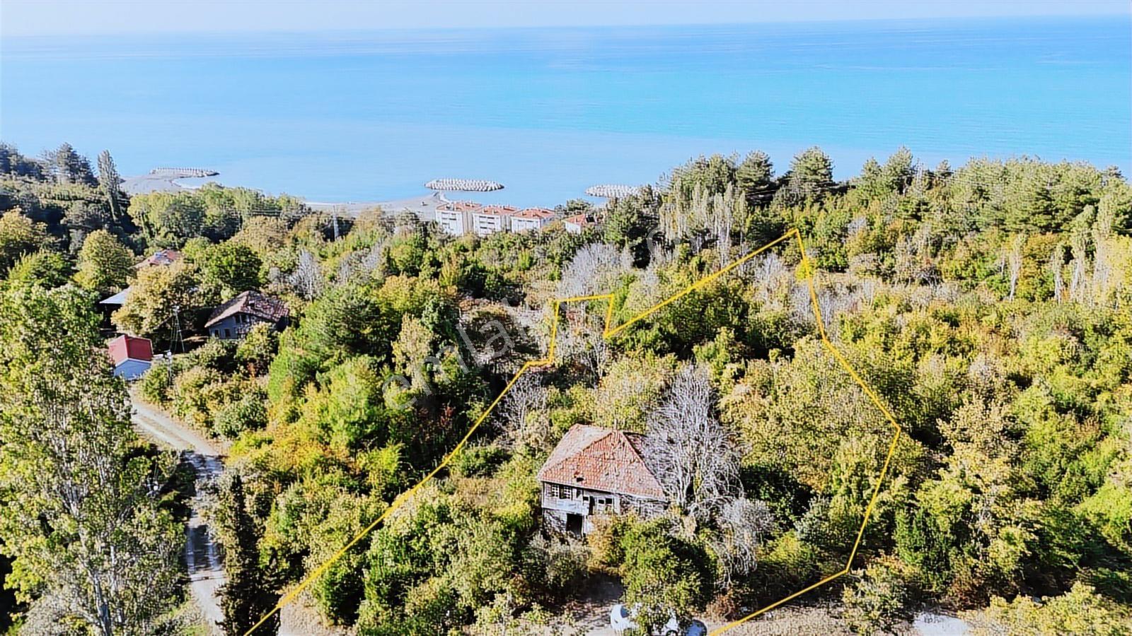 Zeybek Emlak.abana Villa+ Konut İmarlı 2.761.m2 Arsa - Görsel 22