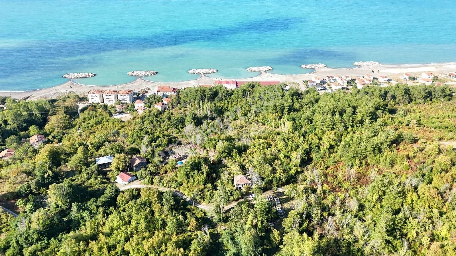 Abana Zeybek Emlak Gayrimenkul Satılık Konut İmarlı 2.761.m2arsa - Görsel 10