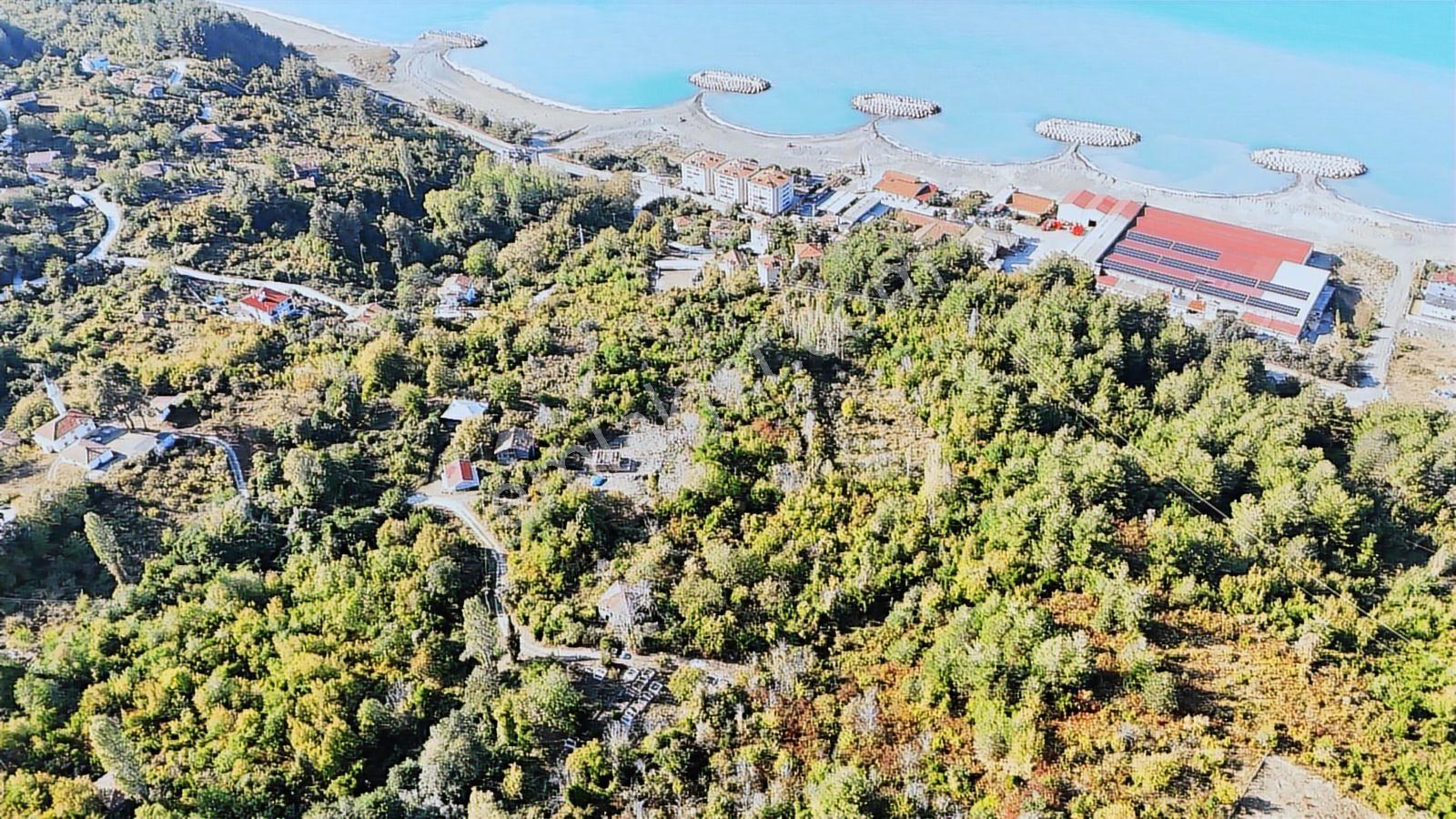 Zeybek Emlak.abana Villa+ Konut İmarlı 2.761.m2 Arsa - Görsel 30