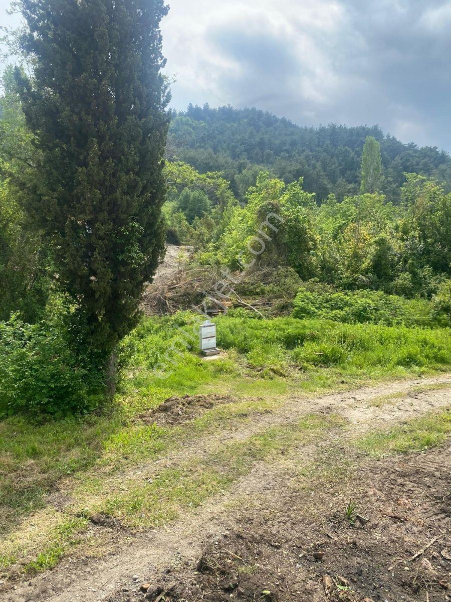 Zeybek Emlak.abana Villa+ Konut İmarlı 2.761.m2 Arsa - Görsel 3