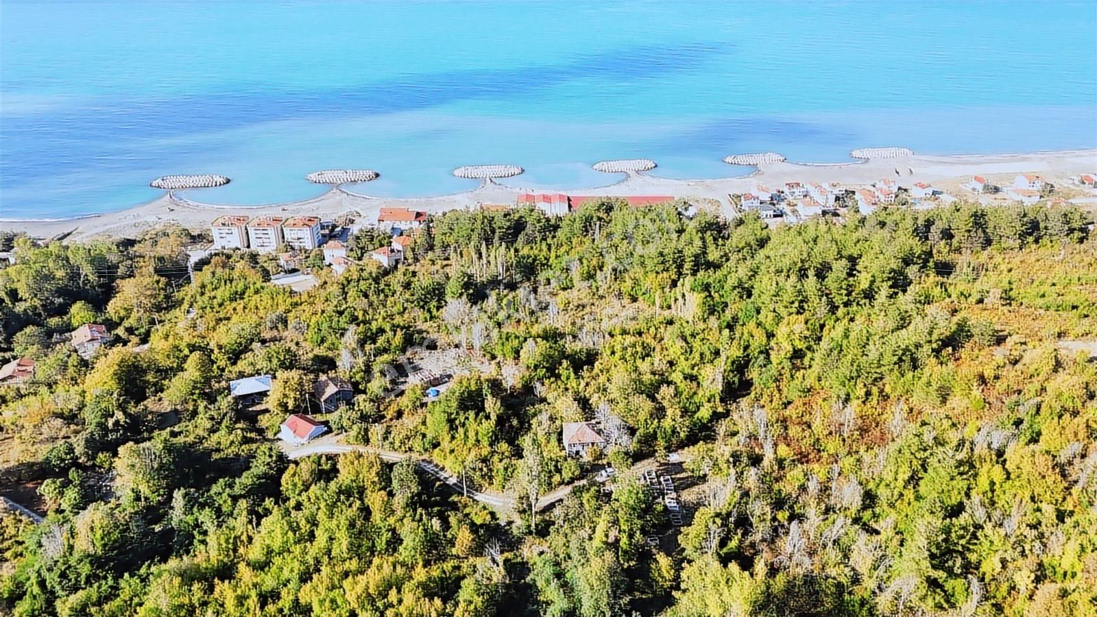 Abana Zeybek Emlak Gayrimenkul Satılık Konut İmarlı 2.761.m2arsa - Görsel 6