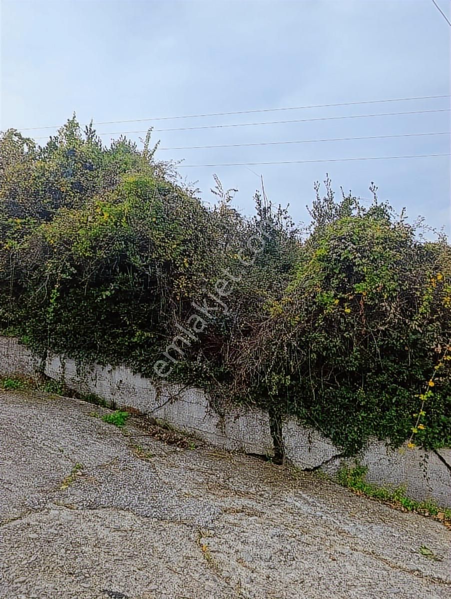 İnebolu Deniz Ve Liman Manzarali. Satılık Arsa - Görsel 11