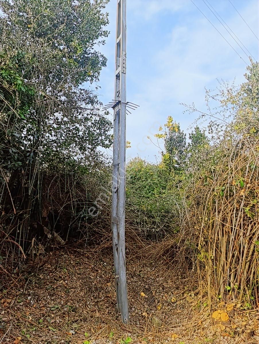 İnebolu Deniz Ve Liman Manzarali. Satılık Arsa - Görsel 10