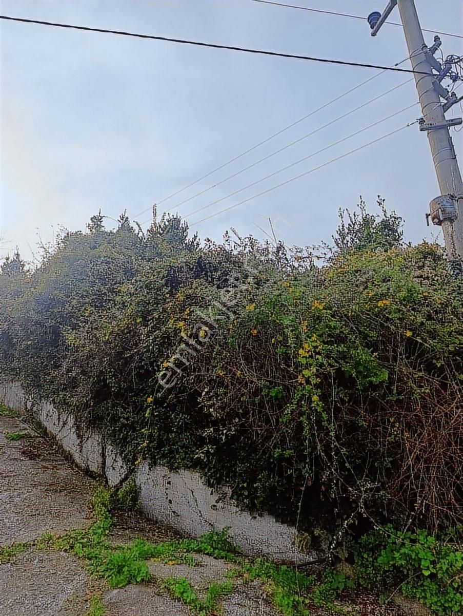 İnebolu Deniz Ve Liman Manzarali. Satılık Arsa - Görsel 2