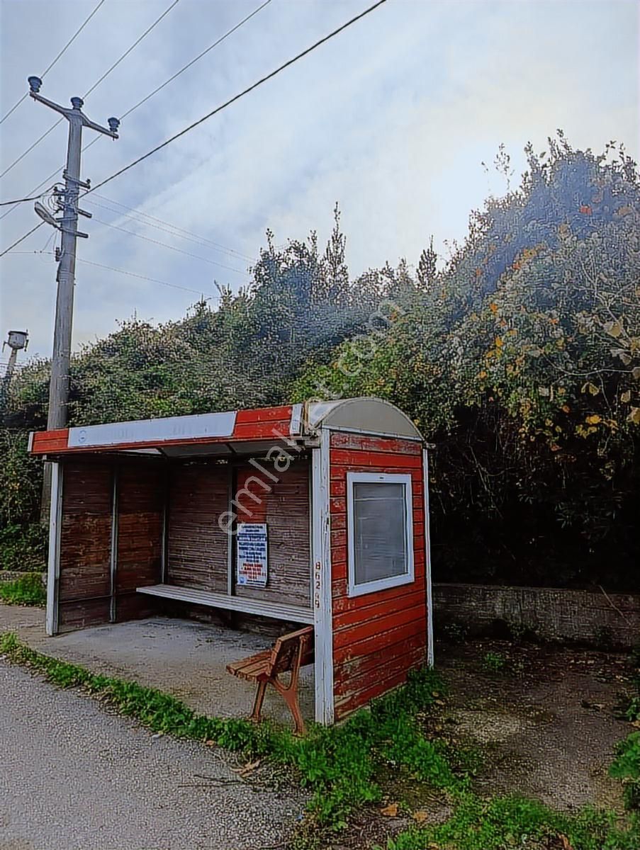 İnebolu Deniz Ve Liman Manzarali. Satılık Arsa - Görsel 19