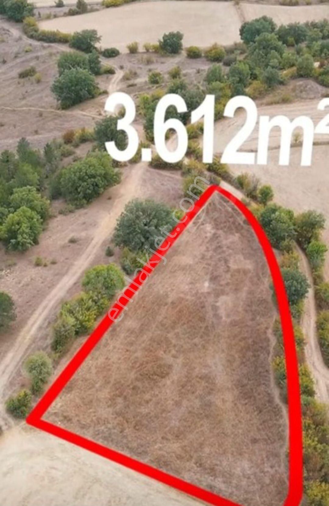 Kastamonu Araç Otobana - Görsel 3