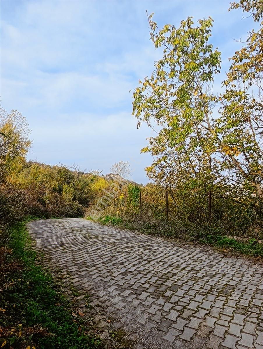 1.130.m2 İnebolu Liman Ve Deniz Manzaralı Satilik Arsa - Görsel 5