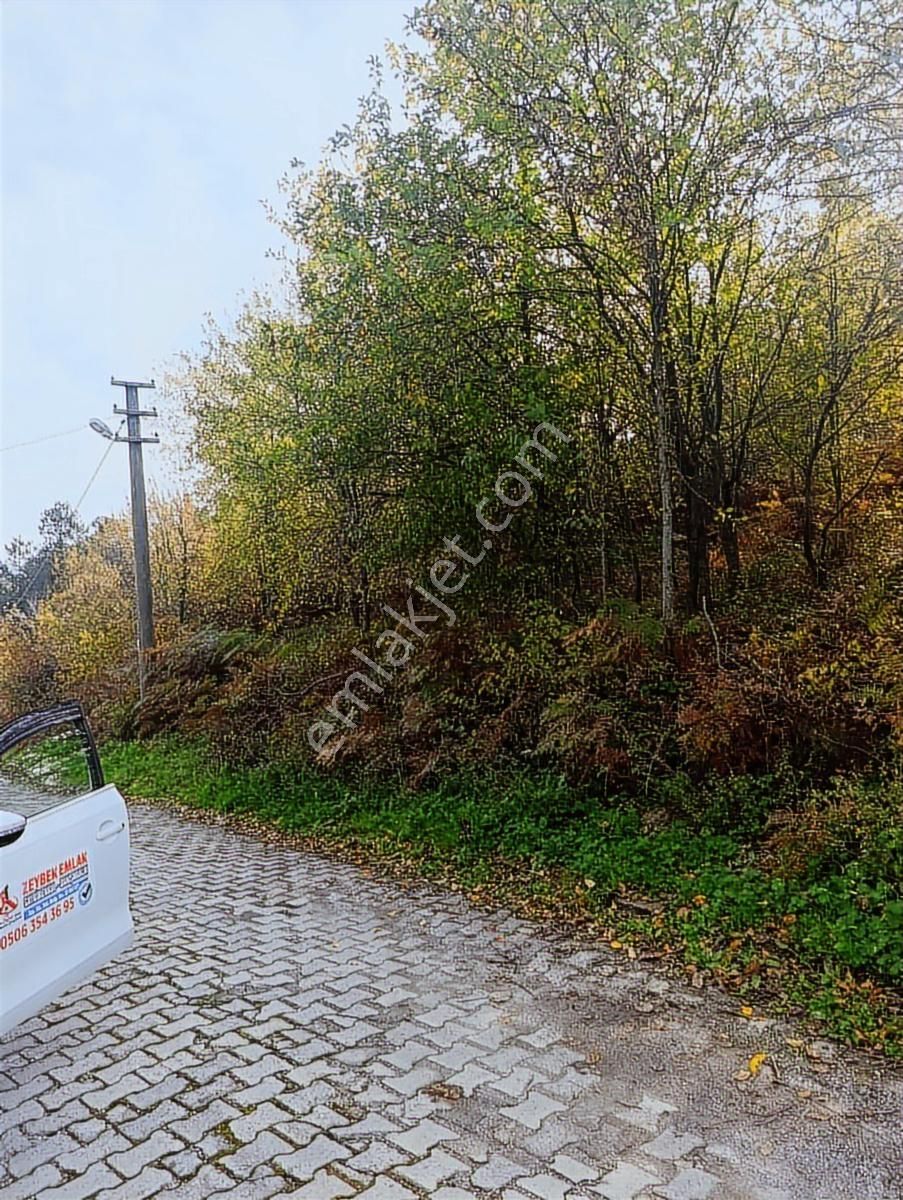 1.130.m2 İnebolu Liman Ve Deniz Manzaralı Satilik Arsa - Görsel 3