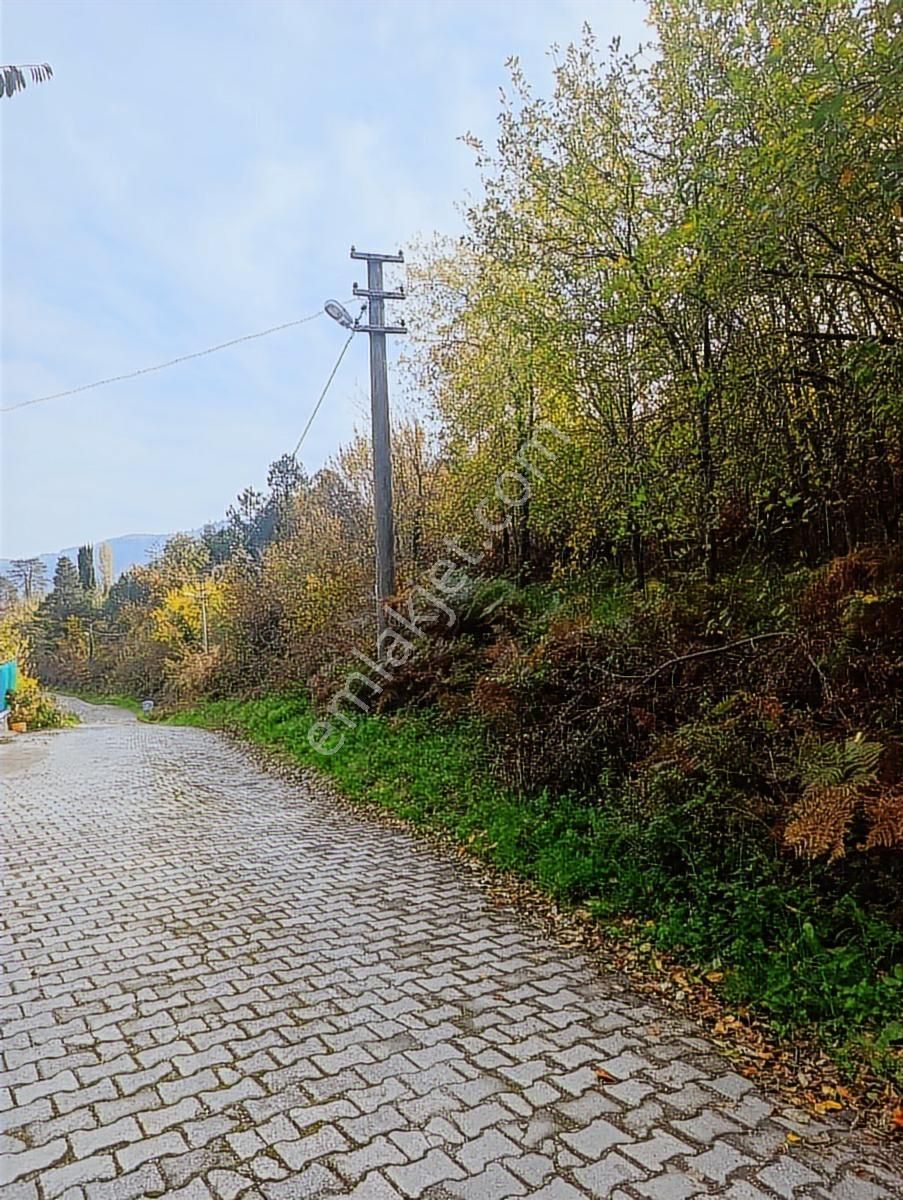 1.130.m2 İnebolu Liman Ve Deniz Manzaralı Satilik Arsa - Görsel 12