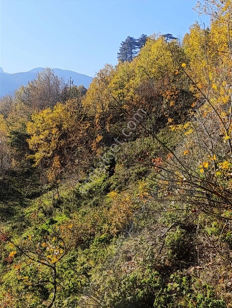 İnebolu / 5.150.m2 Köy Yerleşik Alan İçi Satılık Arsa... - Görsel 28