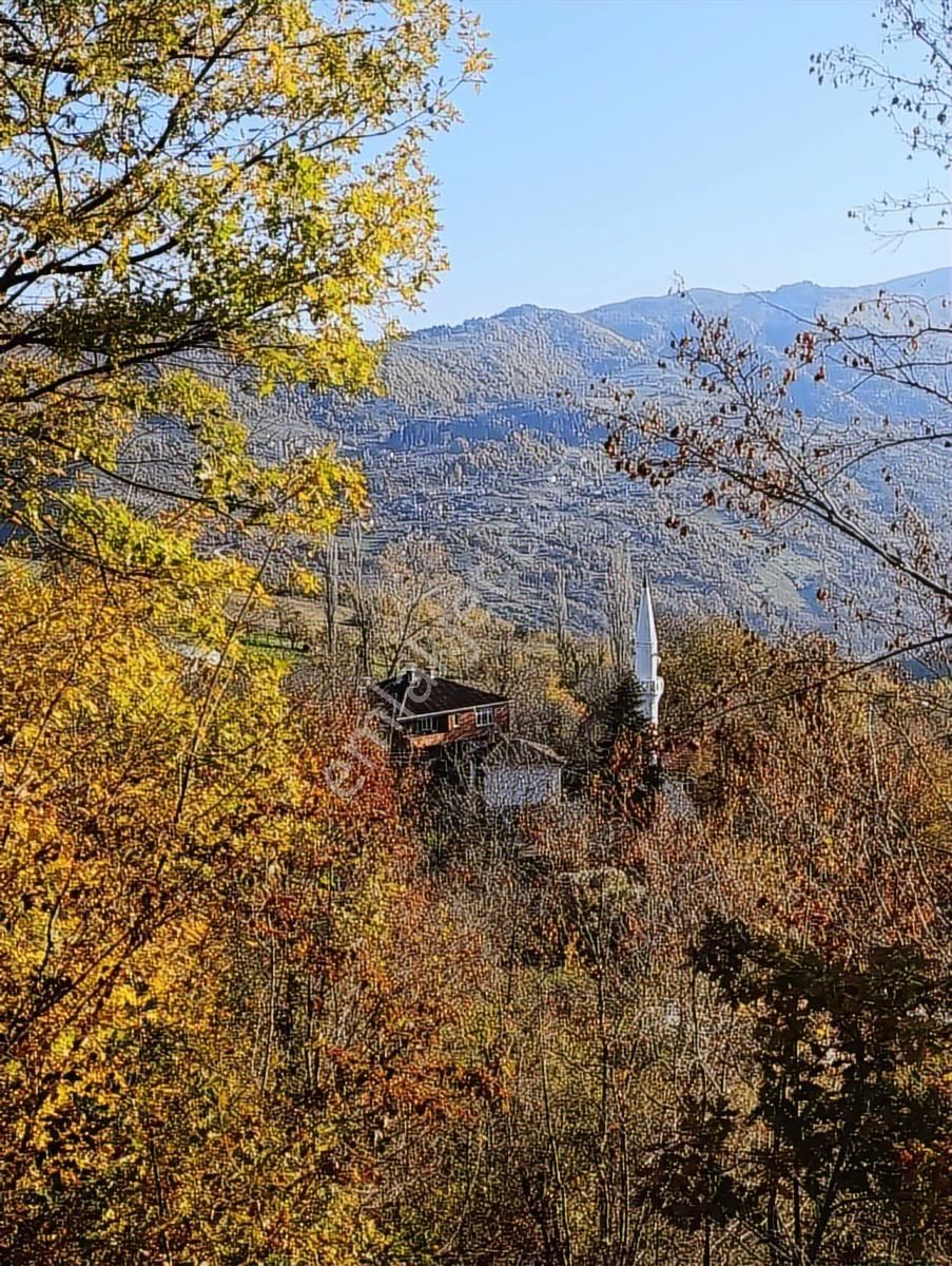 İnebolu / 5.150.m2 Köy Yerleşik Alan İçi Satılık Arsa... - Görsel 15