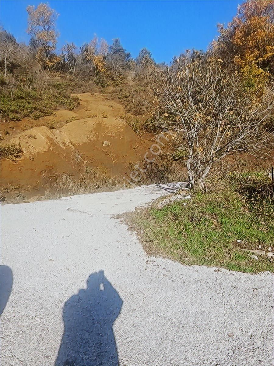 İnebolu / 5.150.m2 Köy Yerleşik Alan İçi Satılık Arsa... - Görsel 7