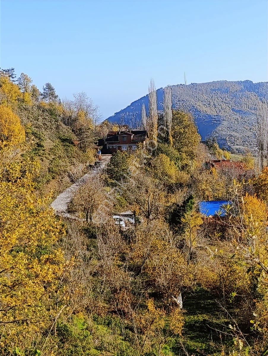İnebolu / 5.150.m2 Köy Yerleşik Alan İçi Satılık Arsa... - Görsel 19