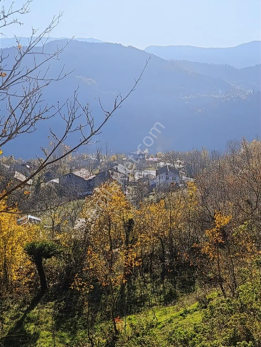 İnebolu / 5.150.m2 Köy Yerleşik Alan İçi Satılık Arsa... - Görsel 11
