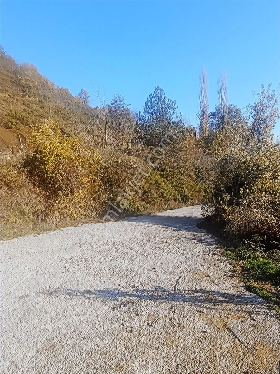 İnebolu / 5.150.m2 Köy Yerleşik Alan İçi Satılık Arsa... - Görsel 26