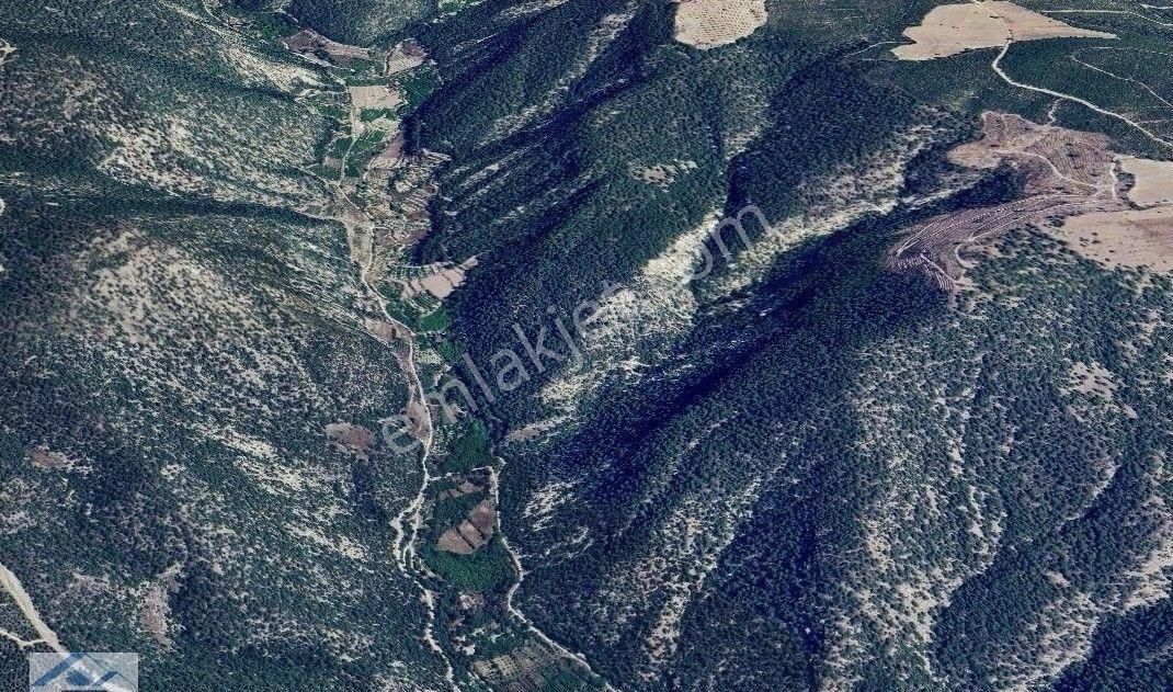 Satılık Ceviz Bahçesi Yol Su Elektrik Kullanıma Hazır - Görsel 7