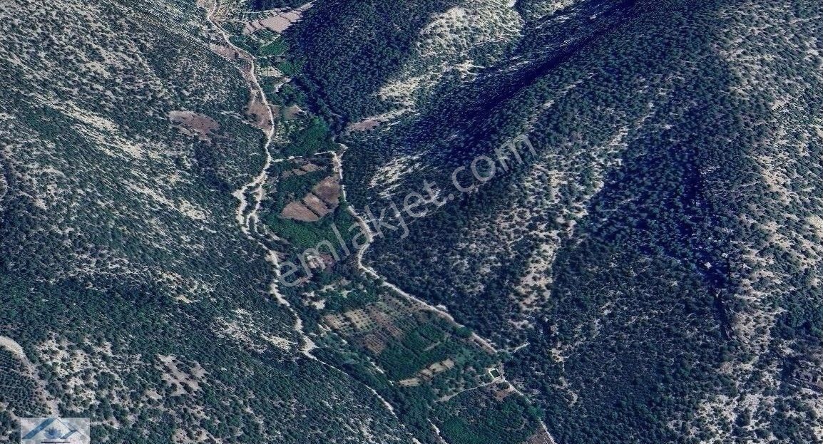 Satılık Ceviz Bahçesi Yol Su Elektrik Kullanıma Hazır - Görsel 8