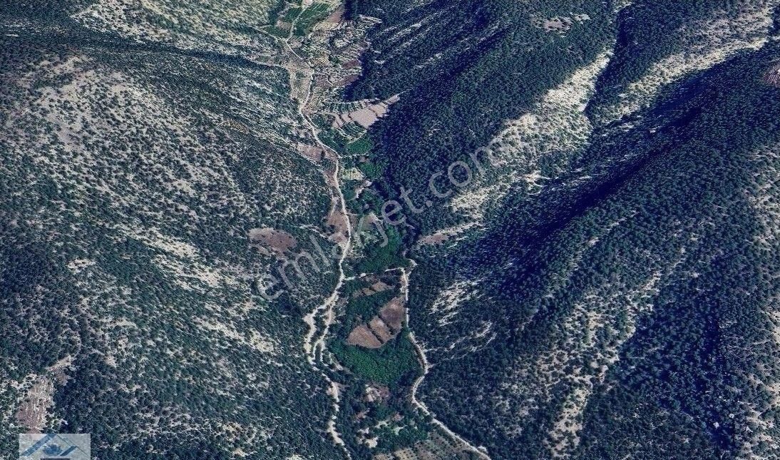 Satılık Ceviz Bahçesi Yol Su Elektrik Kullanıma Hazır - Görsel 6