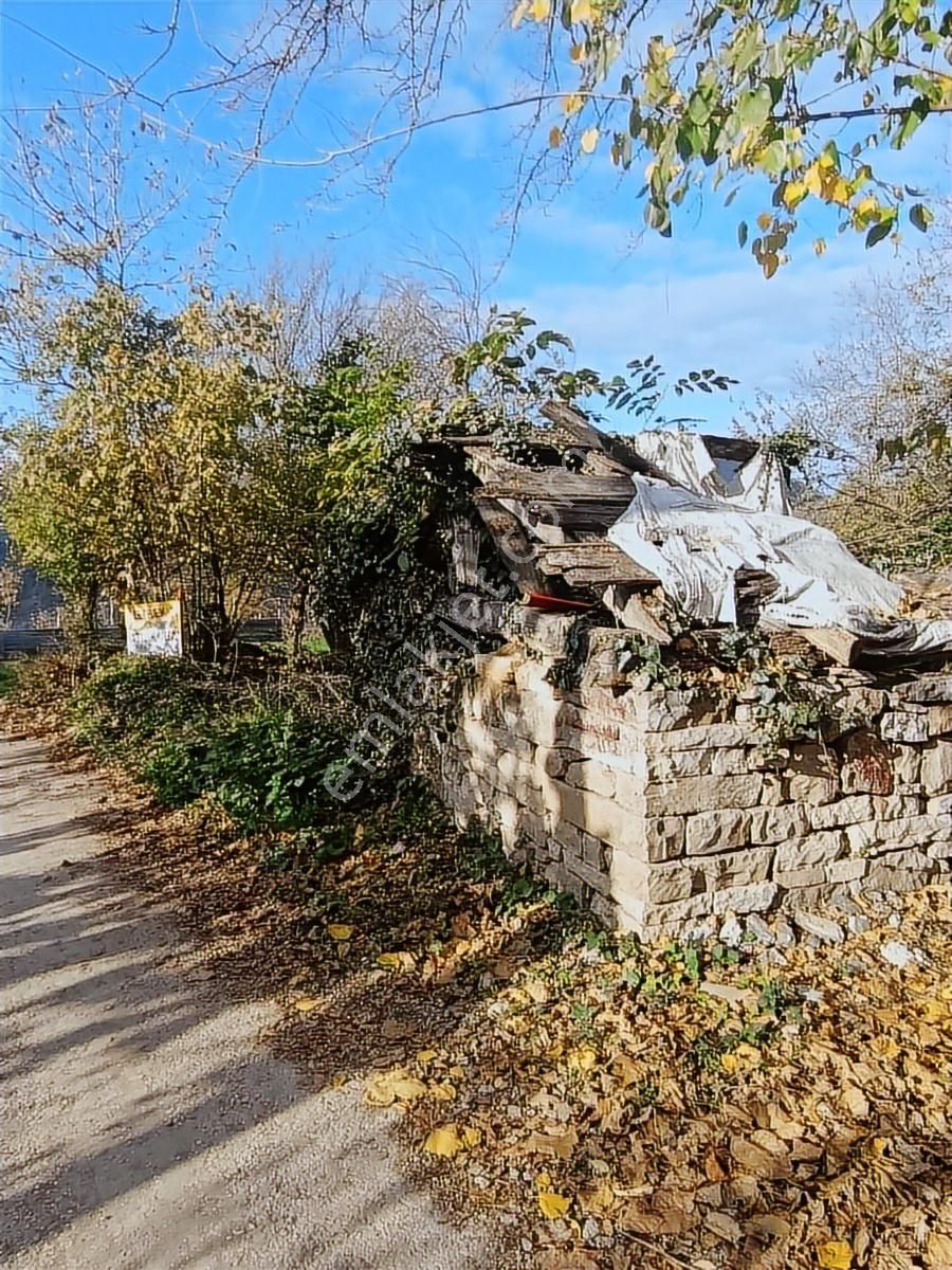 İnebolu Yeşilöz Mahallesi 1.358.m2 Satilik Tarla - Görsel 16