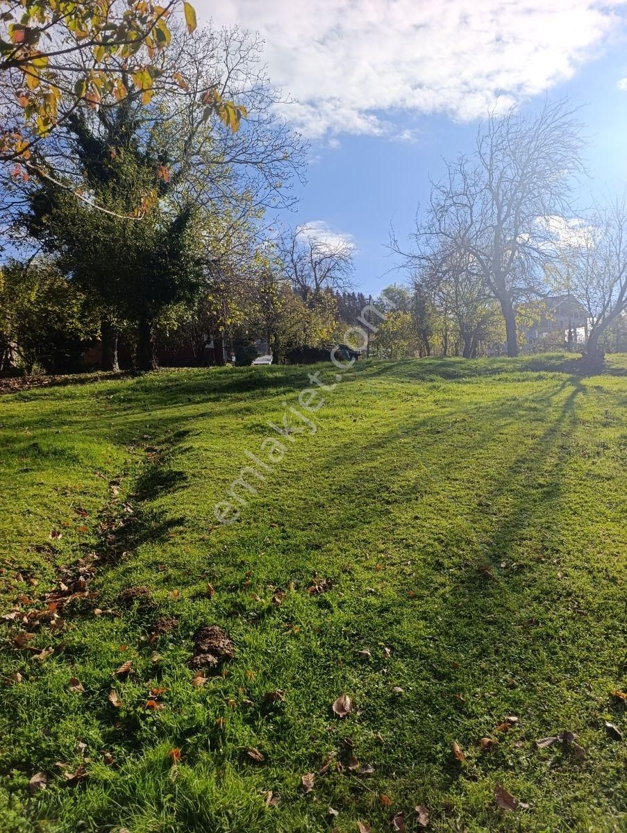 İnebolu Yeşilöz Mahallesi 1.358.m2 Satilik Tarla - Görsel 19