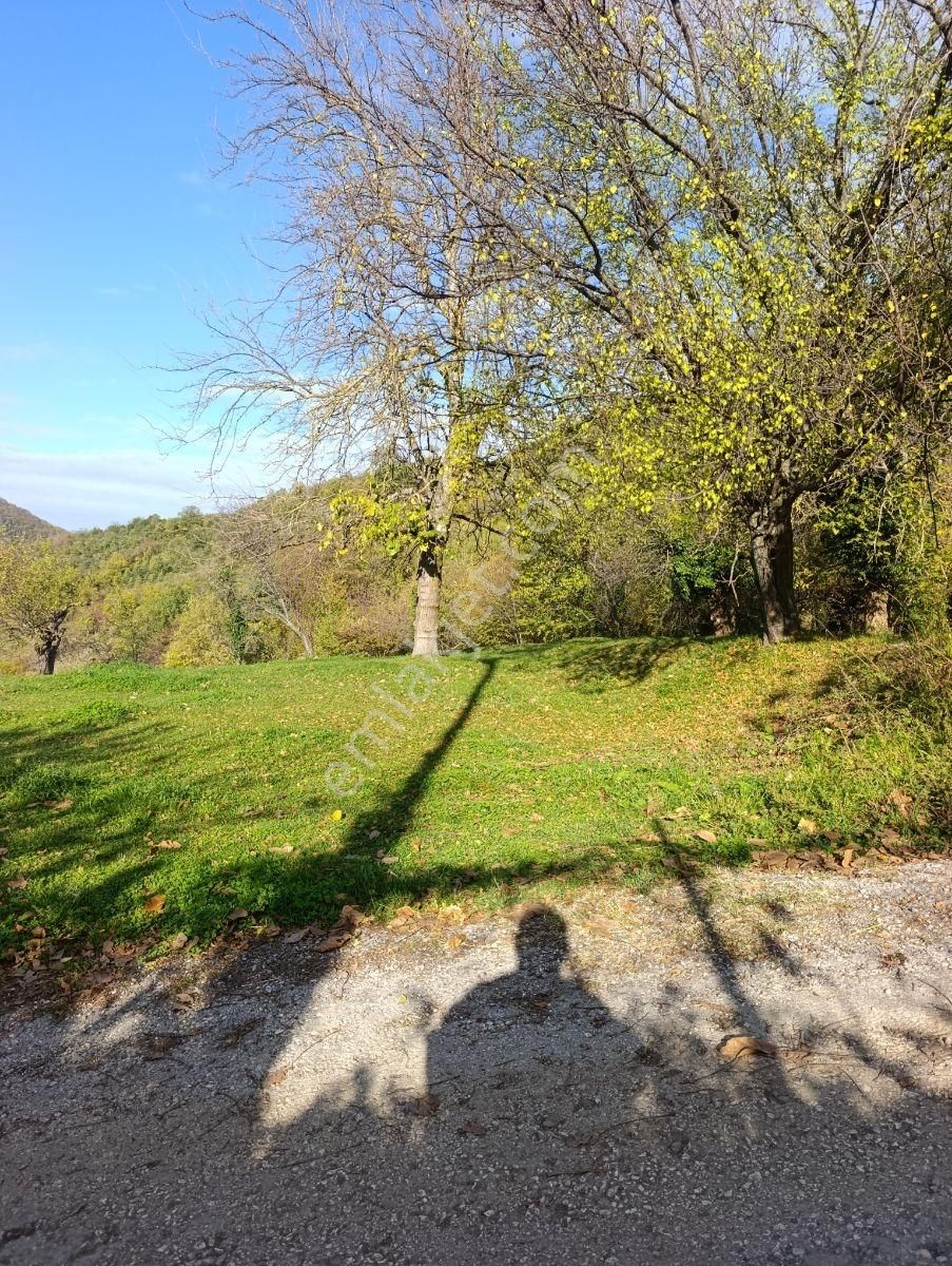 İnebolu Yeşilöz Mahallesi 1.358.m2 Satilik Tarla - Görsel 15