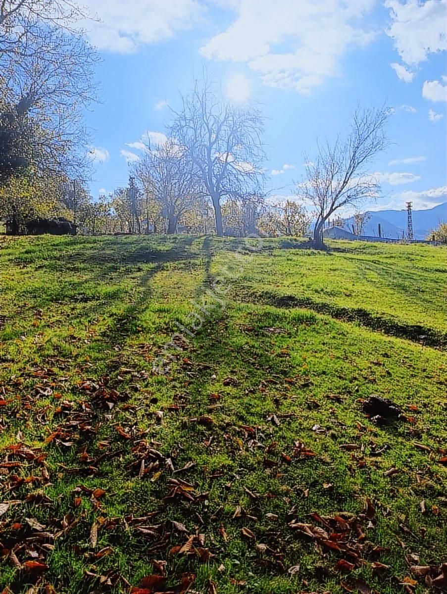 İnebolu Yeşilöz Mahallesi 1.358.m2 Satilik Tarla - Görsel 10