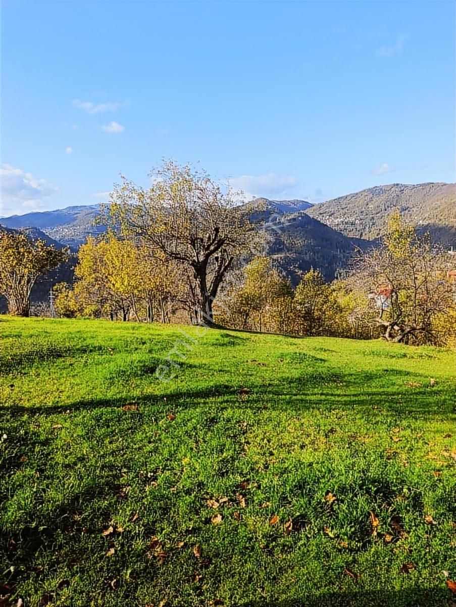 İnebolu Yeşilöz Mahallesi 1.358.m2 Satilik Tarla - Görsel 11