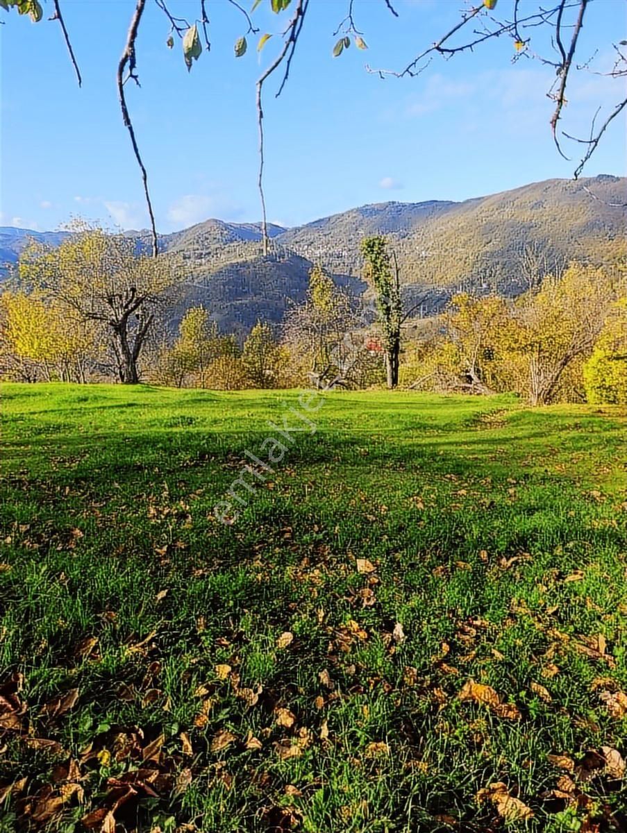 İnebolu Yeşilöz Mahallesi 1.358.m2 Satilik Tarla - Görsel 2