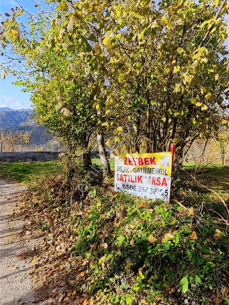 İnebolu Yeşilöz Mahallesi 1.358.m2 Satilik Tarla - Görsel 23