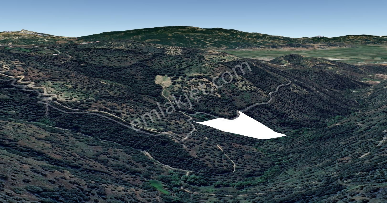 Hasköy Mahallesinde Satılık 11 Dönüm Zeytinlik - Görsel 3