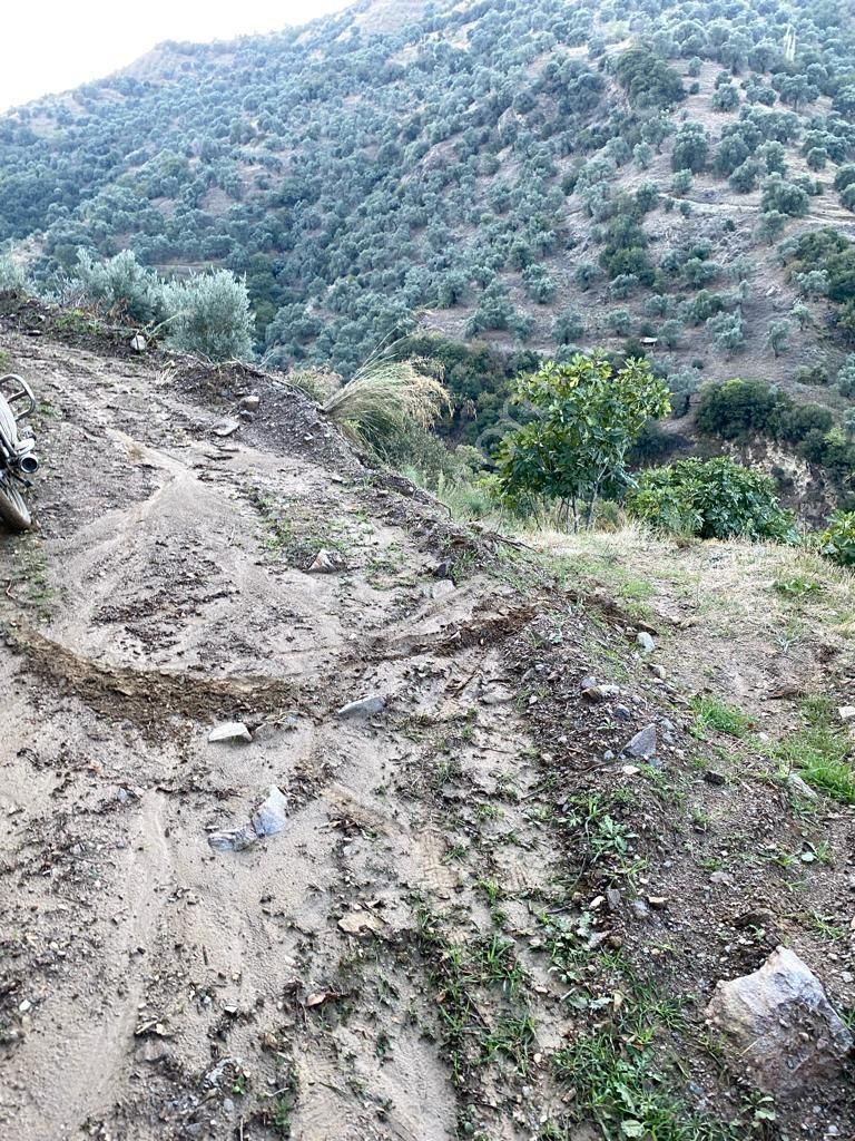 Hasköy Mahallesinde Satılık 11 Dönüm Zeytinlik - Görsel 10