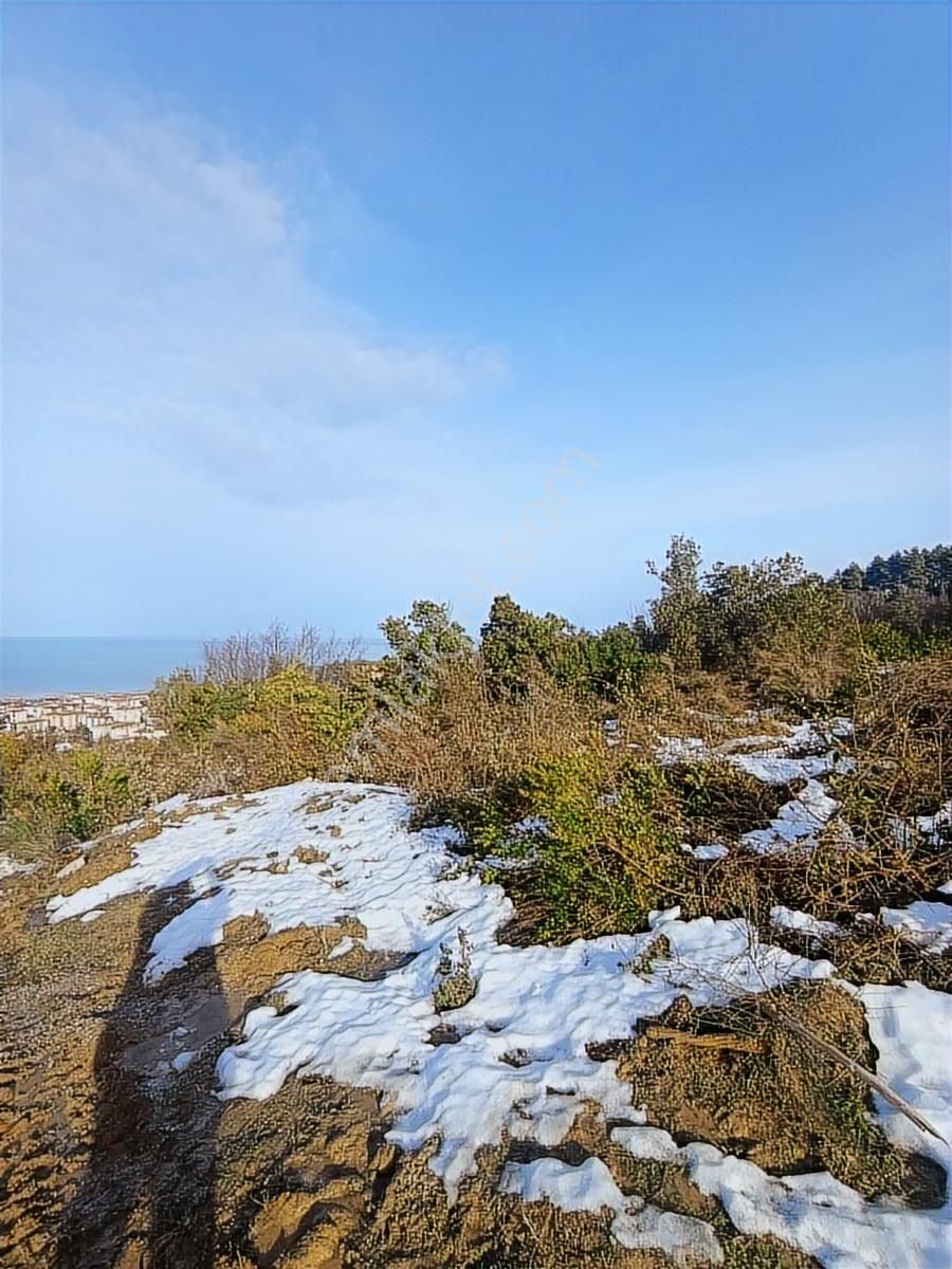 2.349.m2 .abana Merkez Mahallesi Satılık - Görsel 18