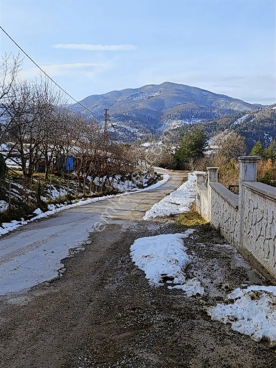 2.349.m2 .abana Merkez Mahallesi Satılık - Görsel 30